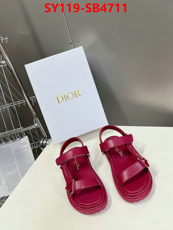 Women Shoes-Dior the best affordable ID: SB4711 $: 119USD