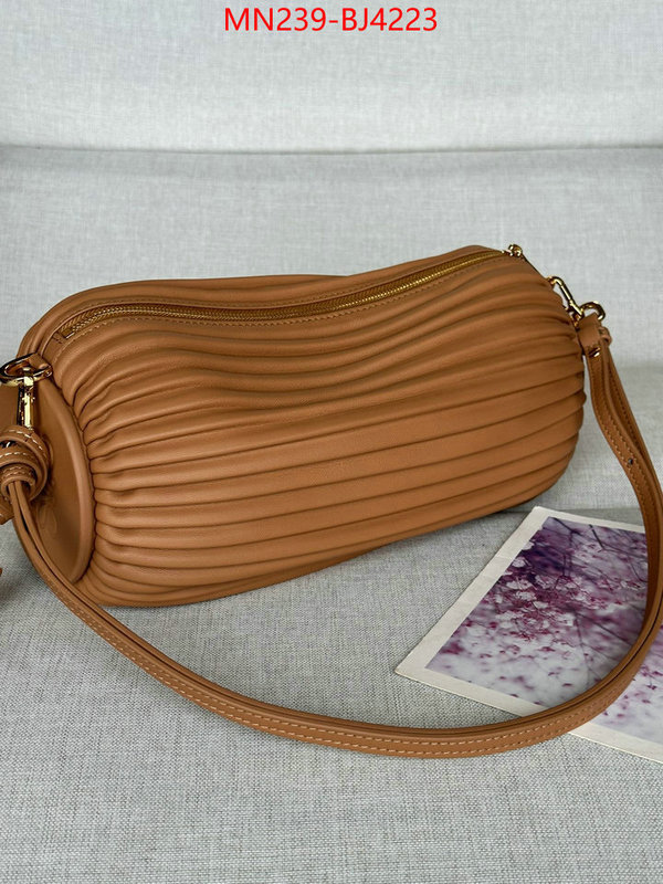 Loewe Bags(TOP)-Crossbody- store ID: BJ4223 $: 239USD,