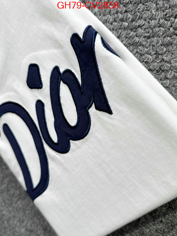 Clothing-Dior customize best quality replica ID: CV2858 $: 79USD