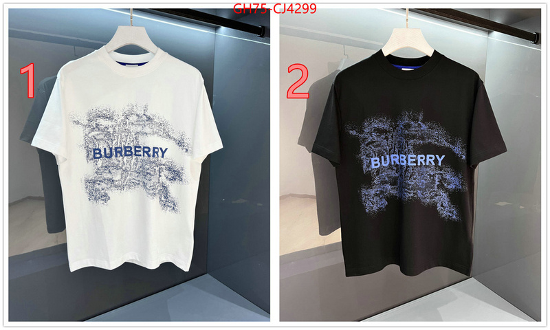 Clothing-Burberry the online shopping ID: CJ4299 $: 75USD