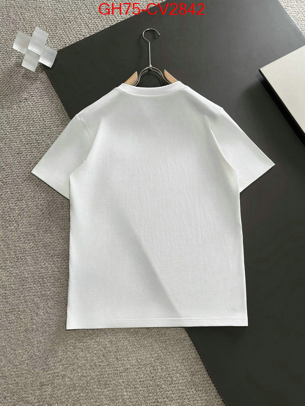 Clothing-DG aaaaa+ replica ID: CV2842 $: 75USD