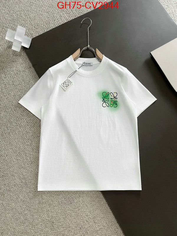 Clothing-Loewe luxury shop ID: CV2944 $: 75USD