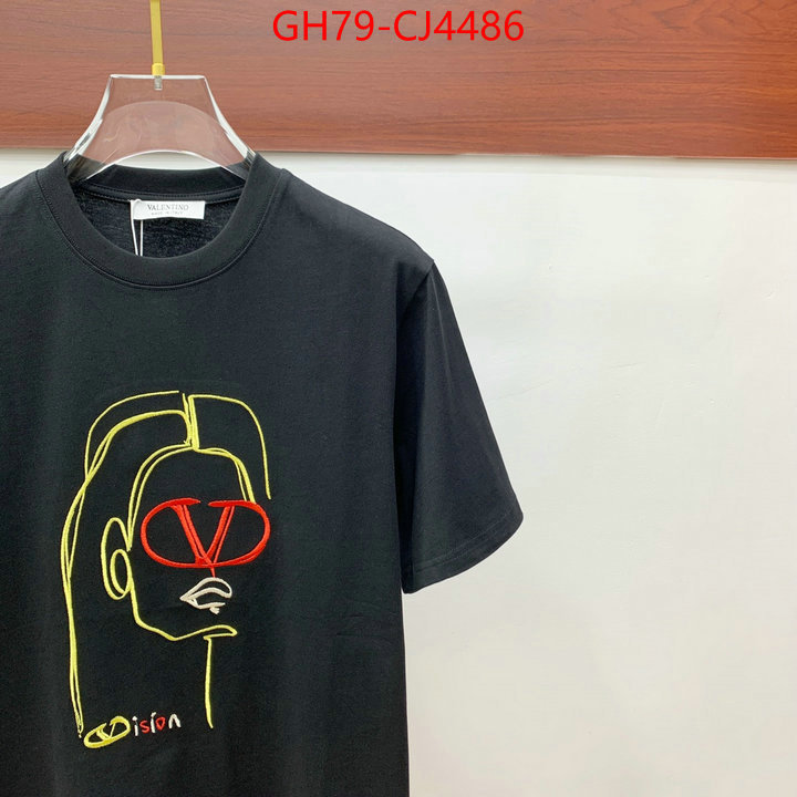 Clothing-Valentino from china ID: CJ4486 $: 79USD