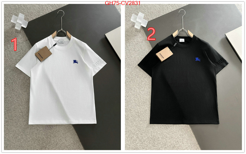 Clothing-Burberry designer 1:1 replica ID: CV2831 $: 75USD