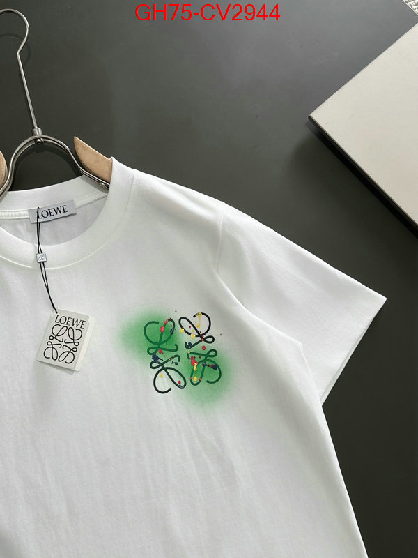 Clothing-Loewe luxury shop ID: CV2944 $: 75USD