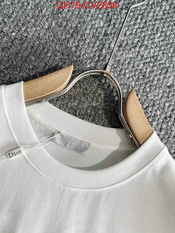 Clothing-Dior customize best quality replica ID: CV2858 $: 79USD