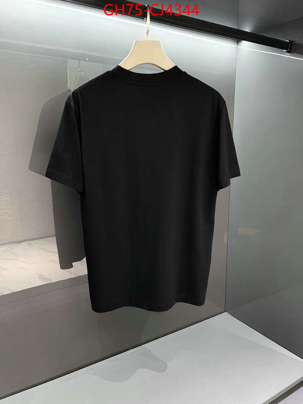 Clothing-Fendi sellers online ID: CJ4344 $: 75USD
