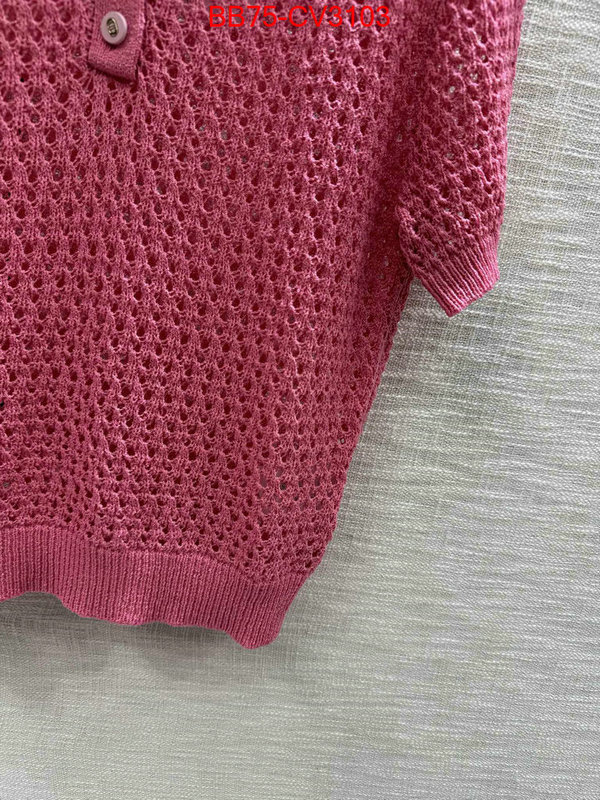 Clothing-Dior designer 7 star replica ID: CV3103 $: 75USD