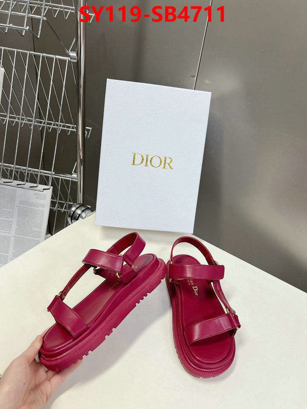 Women Shoes-Dior the best affordable ID: SB4711 $: 119USD