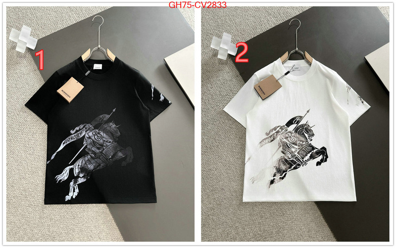 Clothing-Burberry replica designer ID: CV2833 $: 75USD