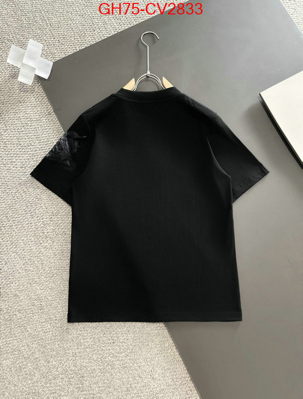 Clothing-Burberry replica designer ID: CV2833 $: 75USD
