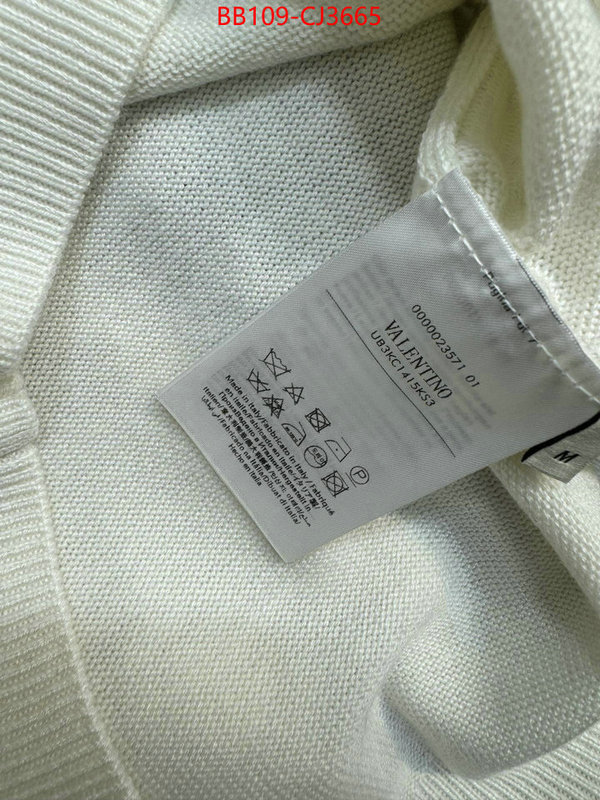 Clothing-Valentino wholesale replica shop ID: CJ3665 $: 109USD