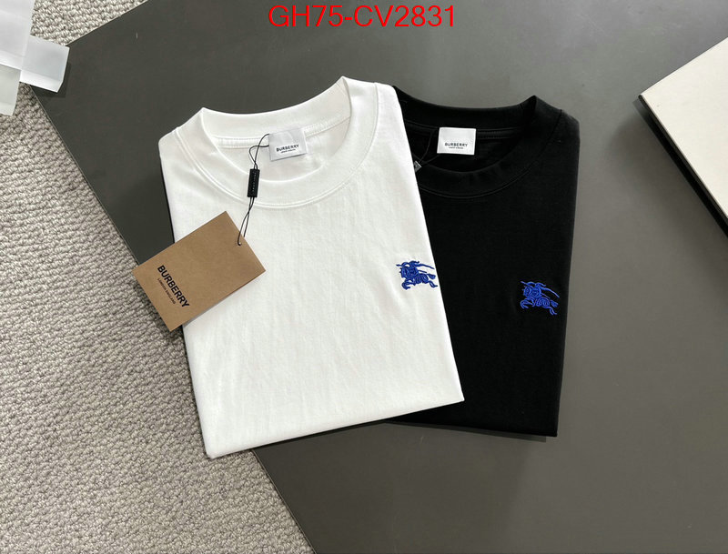 Clothing-Burberry designer 1:1 replica ID: CV2831 $: 75USD