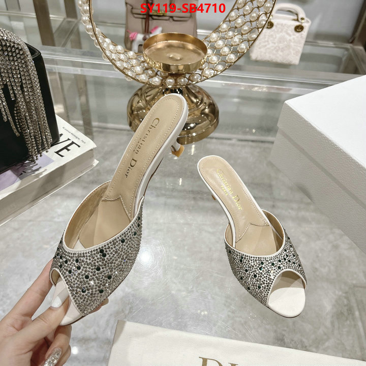 Women Shoes-Dior wholesale imitation designer replicas ID: SB4710 $: 119USD