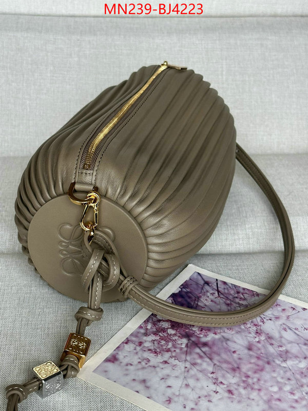 Loewe Bags(TOP)-Crossbody- store ID: BJ4223 $: 239USD,