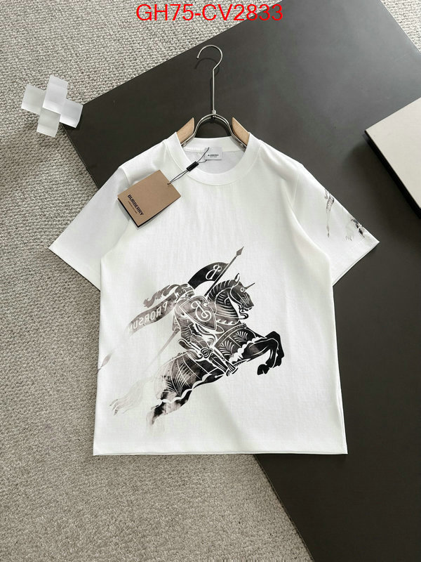Clothing-Burberry replica designer ID: CV2833 $: 75USD