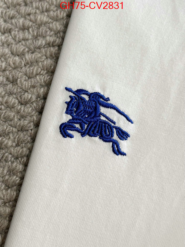 Clothing-Burberry designer 1:1 replica ID: CV2831 $: 75USD