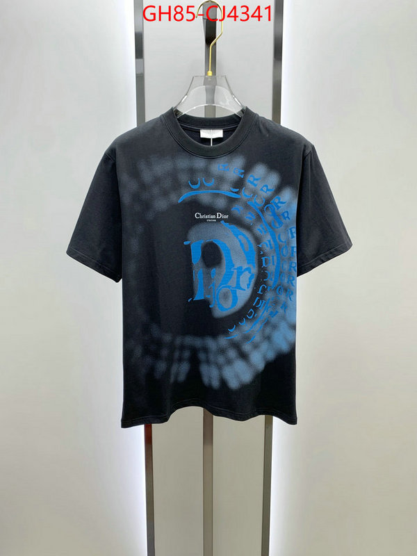 Clothing-Dior sale outlet online ID: CJ4341 $: 85USD