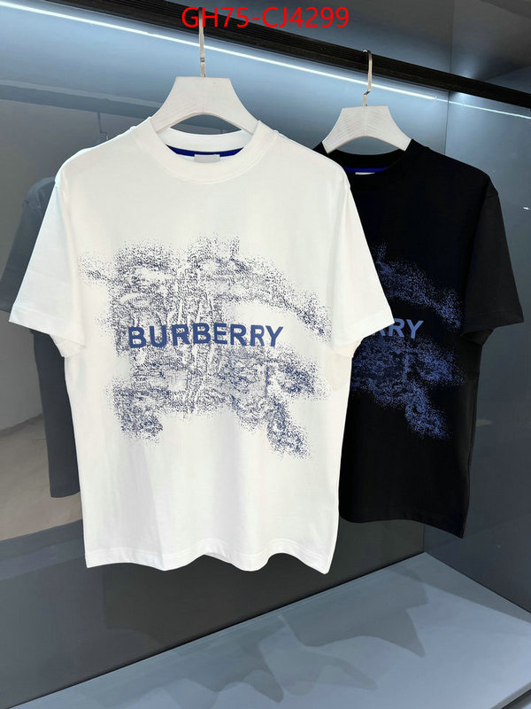 Clothing-Burberry the online shopping ID: CJ4299 $: 75USD