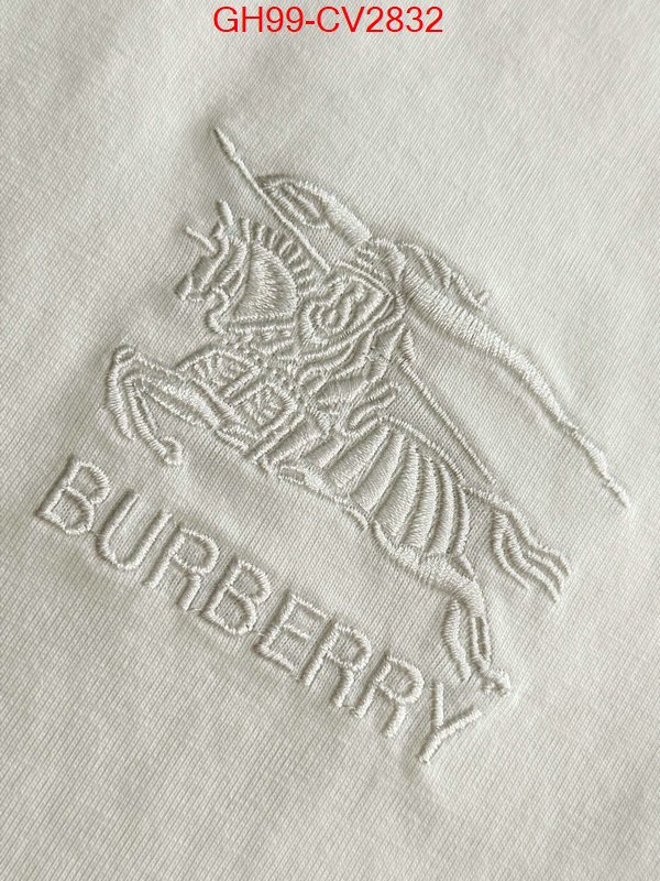 Clothing-Burberry luxury 7 star replica ID: CV2832 $: 99USD