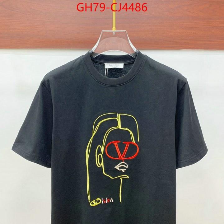 Clothing-Valentino from china ID: CJ4486 $: 79USD
