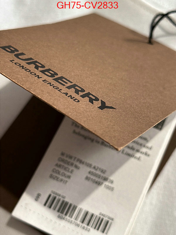 Clothing-Burberry replica designer ID: CV2833 $: 75USD