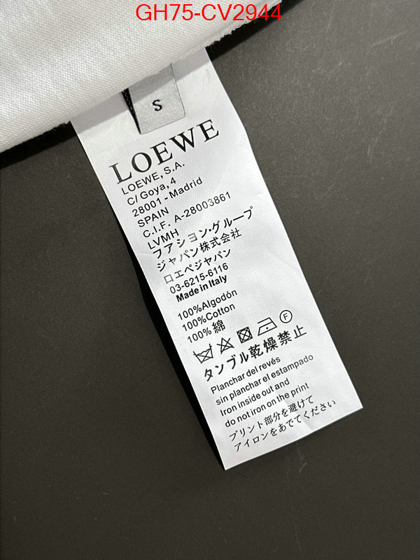 Clothing-Loewe luxury shop ID: CV2944 $: 75USD