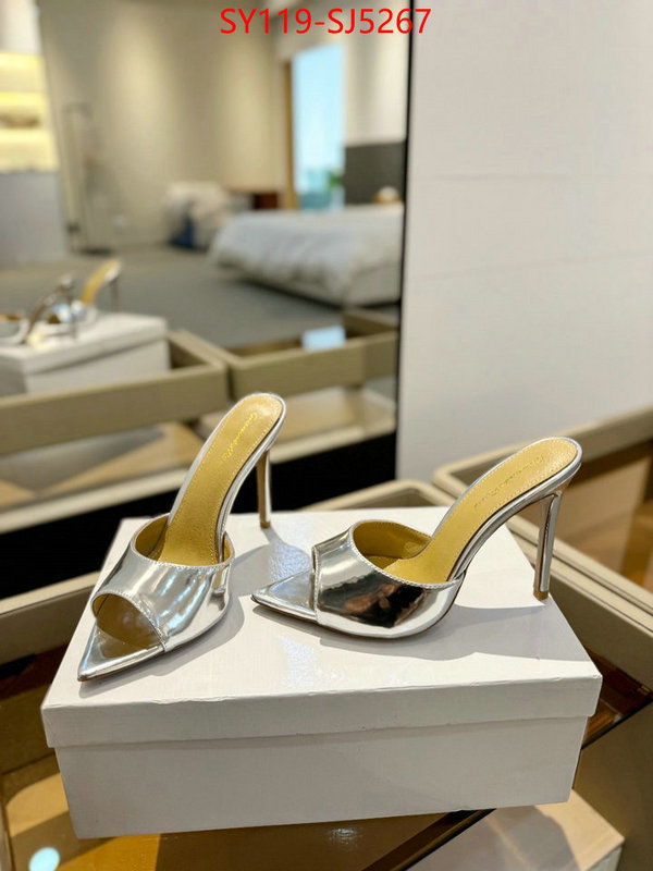 Women Shoes-Gianvito Rossi supplier in china ID: SJ5267 $: 119USD