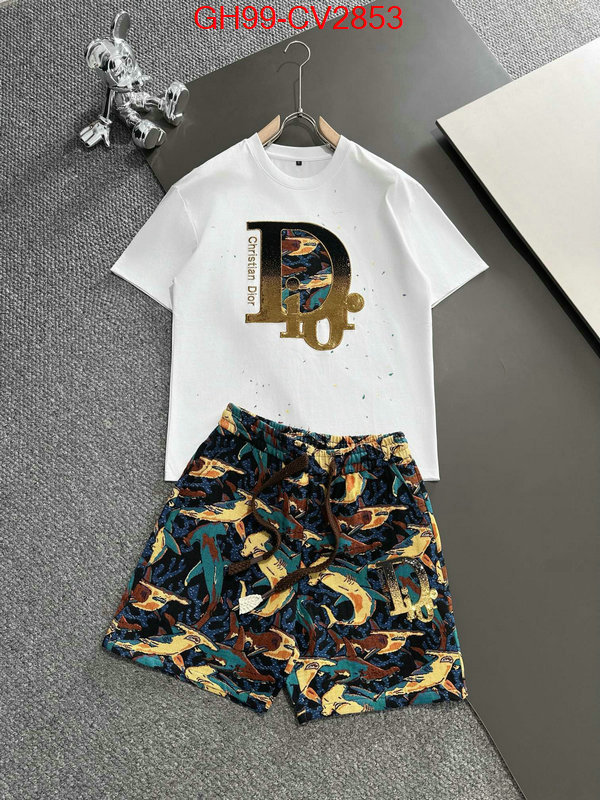 Clothing-Dior highest product quality ID: CV2853 $: 99USD