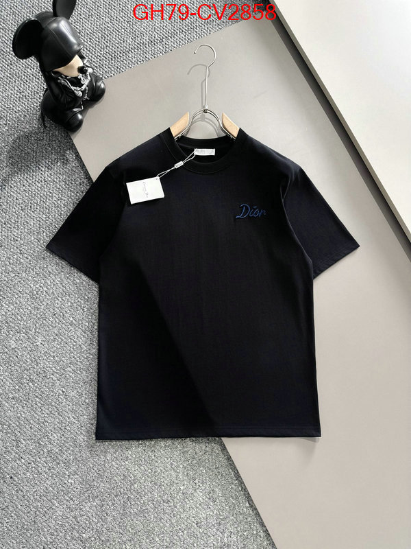 Clothing-Dior customize best quality replica ID: CV2858 $: 79USD