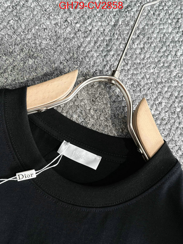 Clothing-Dior customize best quality replica ID: CV2858 $: 79USD