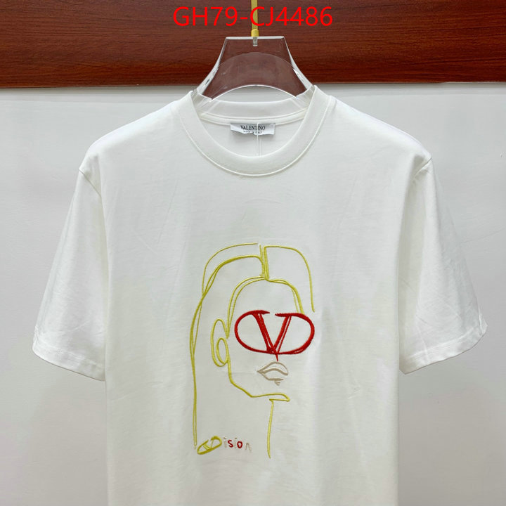 Clothing-Valentino from china ID: CJ4486 $: 79USD