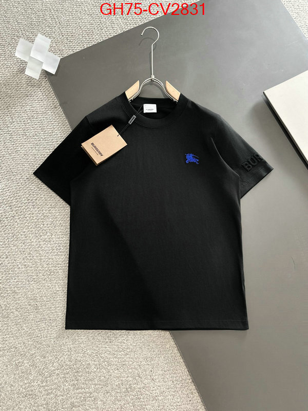 Clothing-Burberry designer 1:1 replica ID: CV2831 $: 75USD