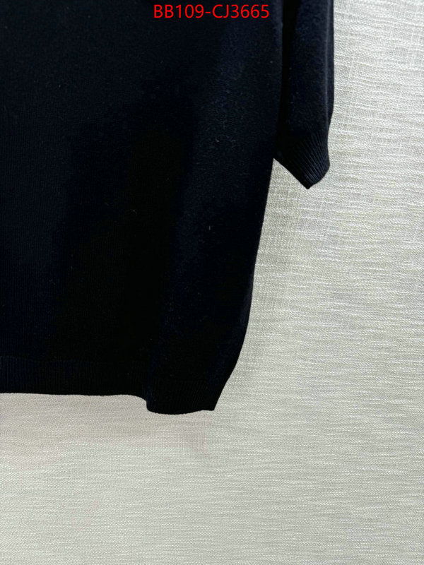 Clothing-Valentino wholesale replica shop ID: CJ3665 $: 109USD