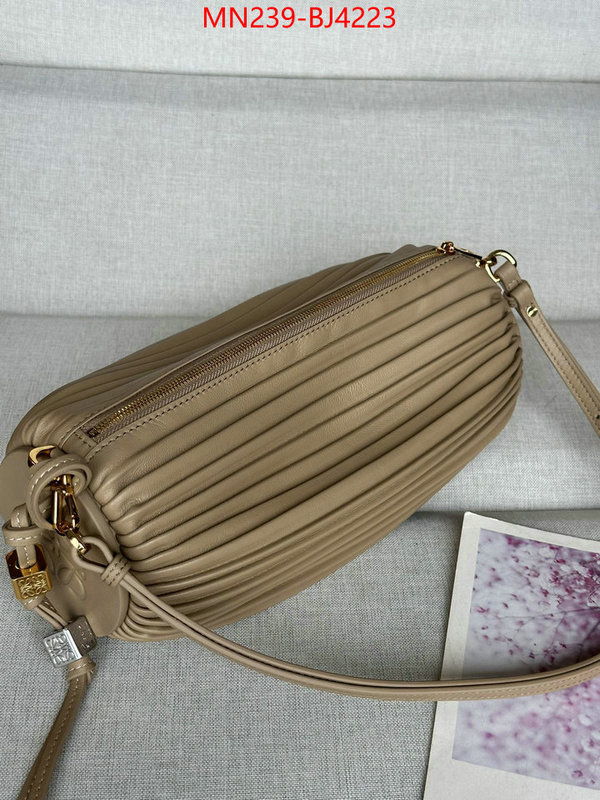 Loewe Bags(TOP)-Crossbody- store ID: BJ4223 $: 239USD,
