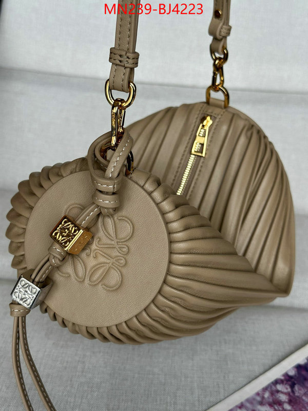 Loewe Bags(TOP)-Crossbody- store ID: BJ4223 $: 239USD,