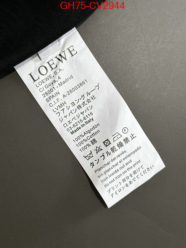 Clothing-Loewe luxury shop ID: CV2944 $: 75USD