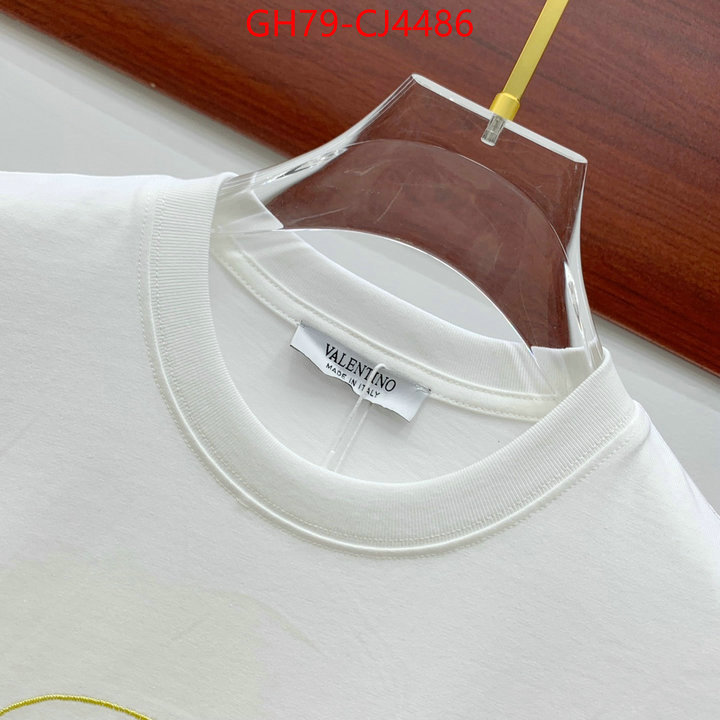 Clothing-Valentino from china ID: CJ4486 $: 79USD