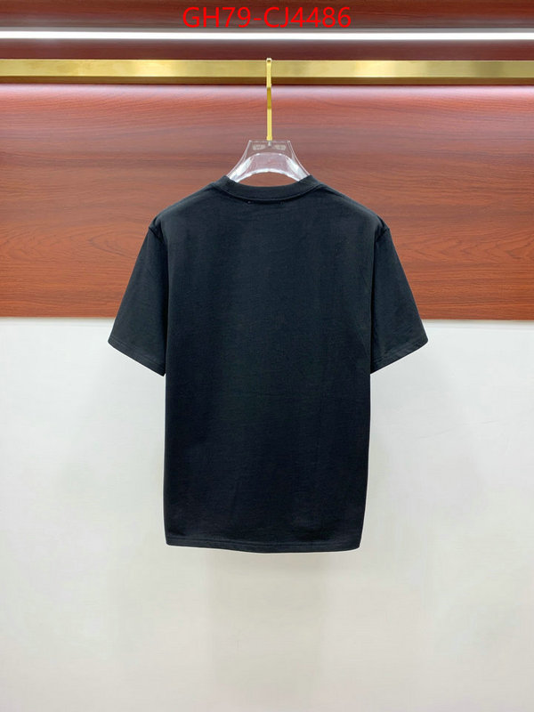 Clothing-Valentino from china ID: CJ4486 $: 79USD