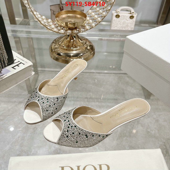 Women Shoes-Dior wholesale imitation designer replicas ID: SB4710 $: 119USD