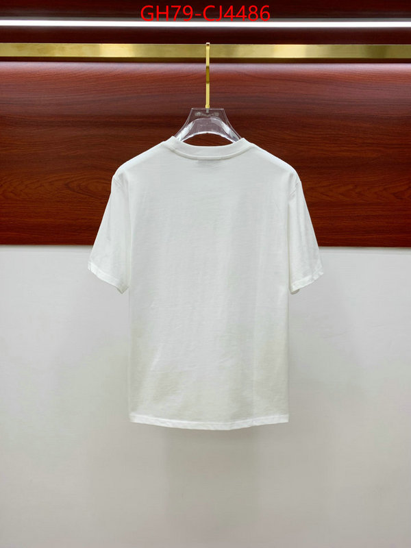 Clothing-Valentino from china ID: CJ4486 $: 79USD