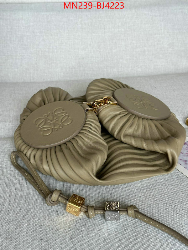 Loewe Bags(TOP)-Crossbody- store ID: BJ4223 $: 239USD,