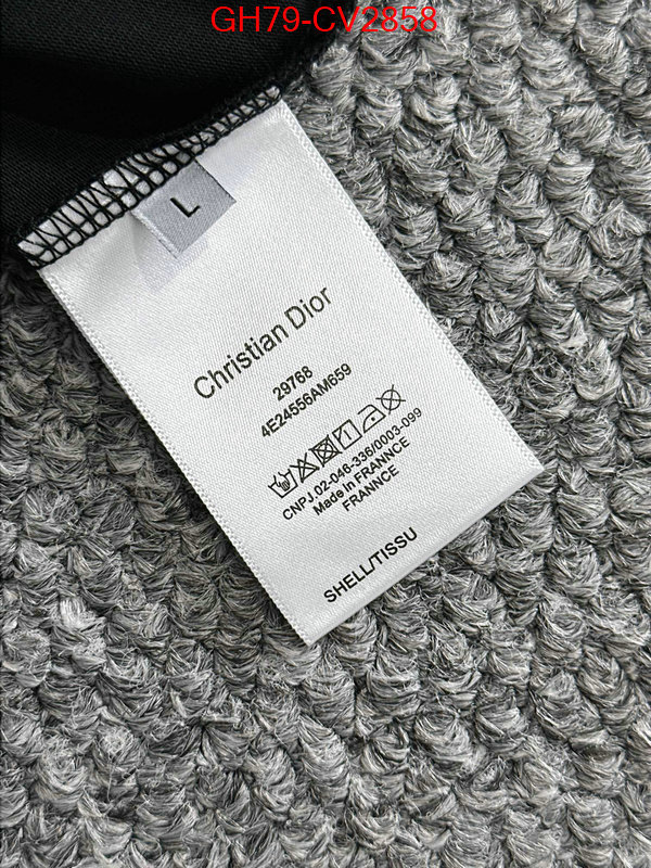 Clothing-Dior customize best quality replica ID: CV2858 $: 79USD