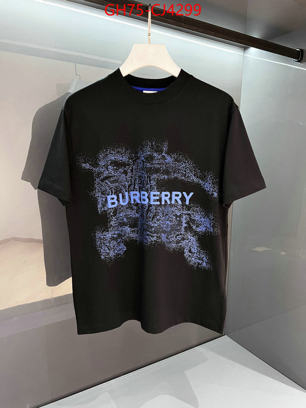 Clothing-Burberry the online shopping ID: CJ4299 $: 75USD