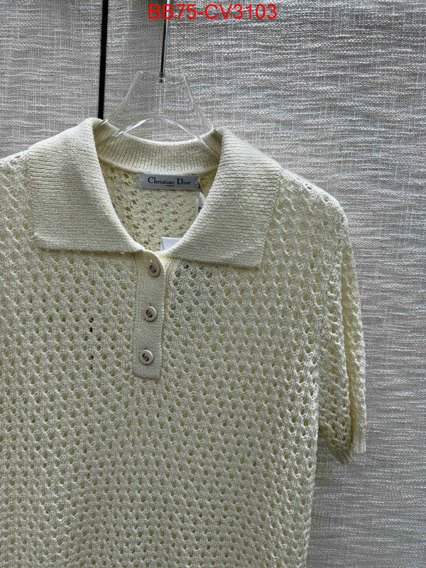 Clothing-Dior designer 7 star replica ID: CV3103 $: 75USD