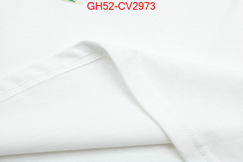 Clothing-LV top quality replica ID: CV2973 $: 52USD