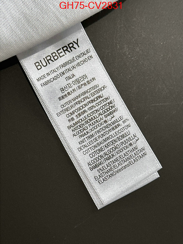Clothing-Burberry designer 1:1 replica ID: CV2831 $: 75USD