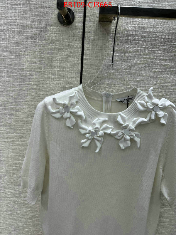 Clothing-Valentino wholesale replica shop ID: CJ3665 $: 109USD