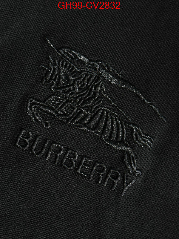 Clothing-Burberry luxury 7 star replica ID: CV2832 $: 99USD