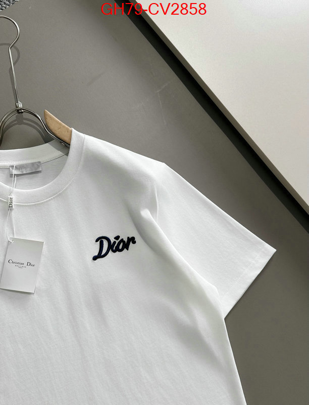 Clothing-Dior customize best quality replica ID: CV2858 $: 79USD